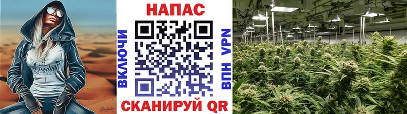 Сколько стоит Алейск Кокаин Канабис МЕГА ТОР Гашиш Меф Галлюциногенные грибы