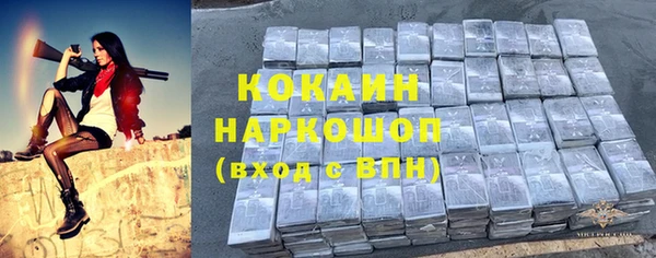 spice Абаза