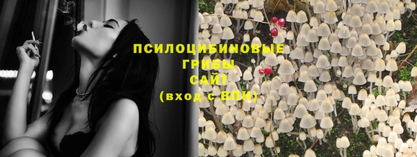 spice Абаза