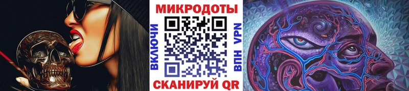 Псилоцибиновые грибы Psilocybe Алейск