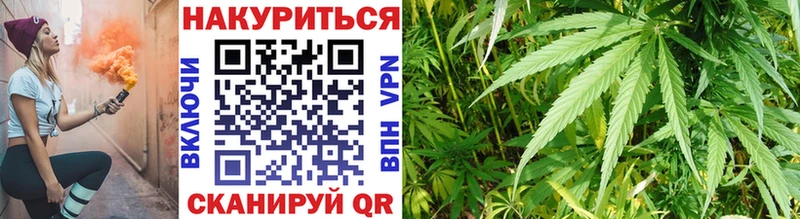 Каннабис индика  Алейск 
